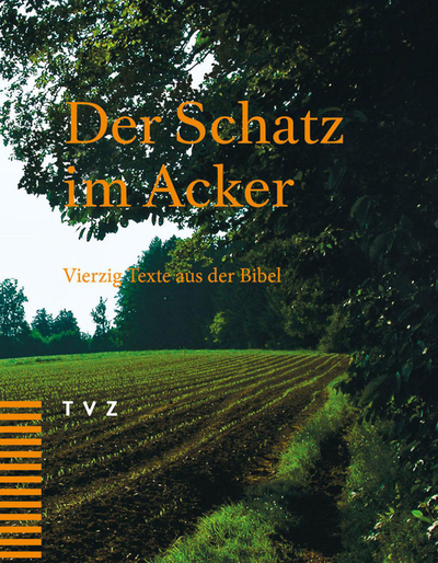 Cover zu Der Schatz im Acker