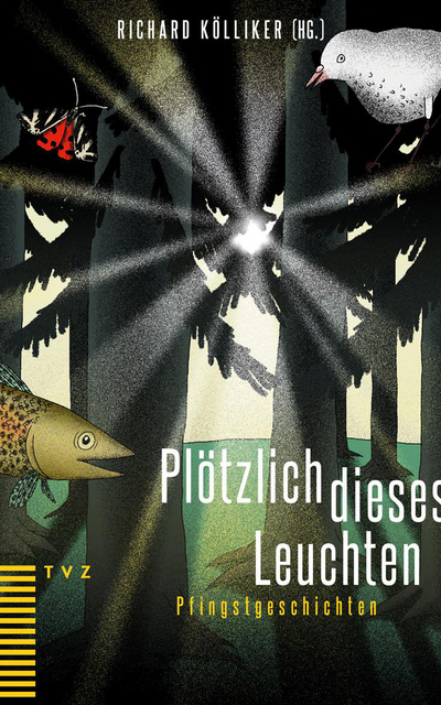 Cover von Plötzlich dieses Leuchten