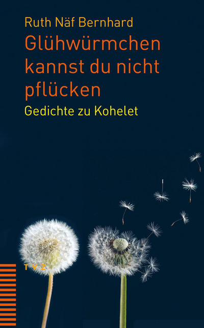 Cover von Glühwürmchen kannst du nicht pflücken