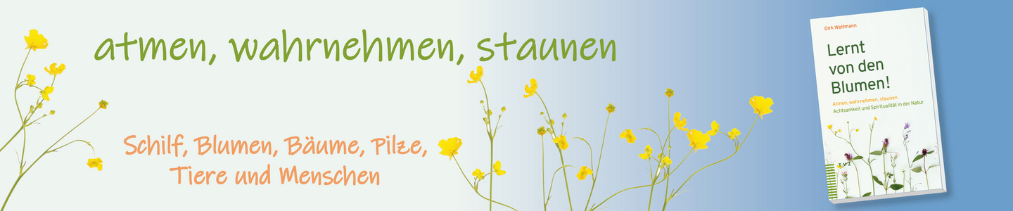 Woltmann, Lern von den Blumen